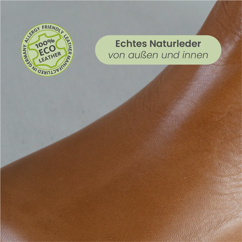 MN-Nelsea Cureo